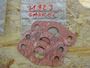 Alfa Laval Gasket 71923 #1
