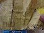 Alfa Laval Worm Wheel Shaft 52675281 #3