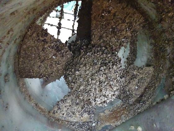 Brunvoll SPX VP 600 #2