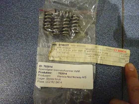 Wichmann Spring for Fuel Injection Valve #1