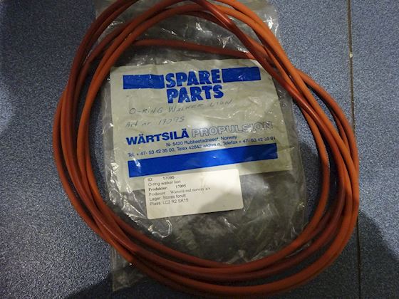 Wichmann O-ring Walker Lion #1