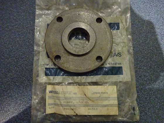 Wichmann Pump Flange #1