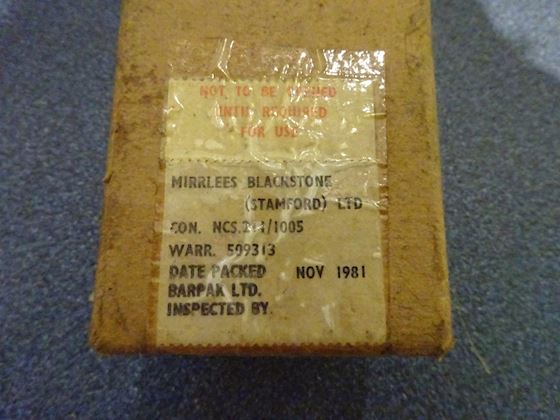 Mirrless Blackstone Thermometer #3