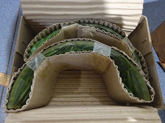 Mirrless Blackstone Bearing Set #1