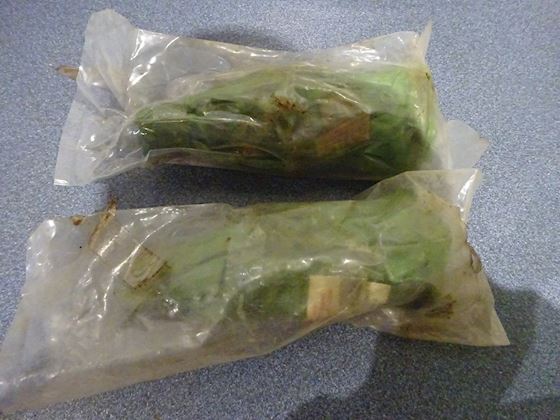 Mirrless Blackstone Sliding Coupling #2