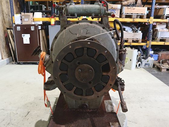 A.M. Liaaen ex Acanthus AML. 1261 #2