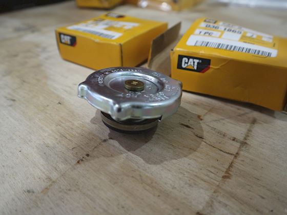 Caterpillar Cap A #2