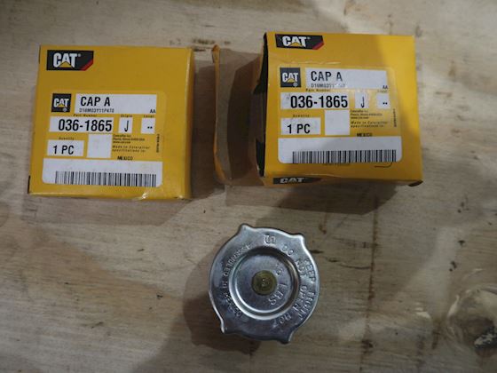 Caterpillar Cap A #1